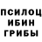 Псилоцибиновые грибы GOLDEN TEACHER Kateline Van