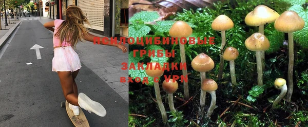 СК Куйбышев