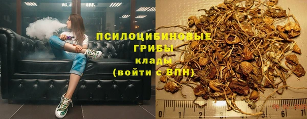 молекула духа Кукмор