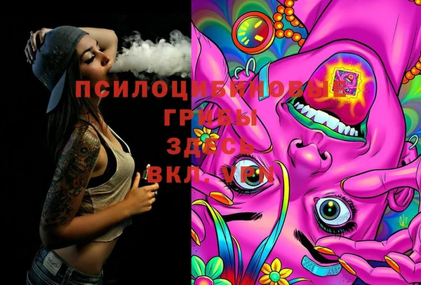молекула духа Кукмор
